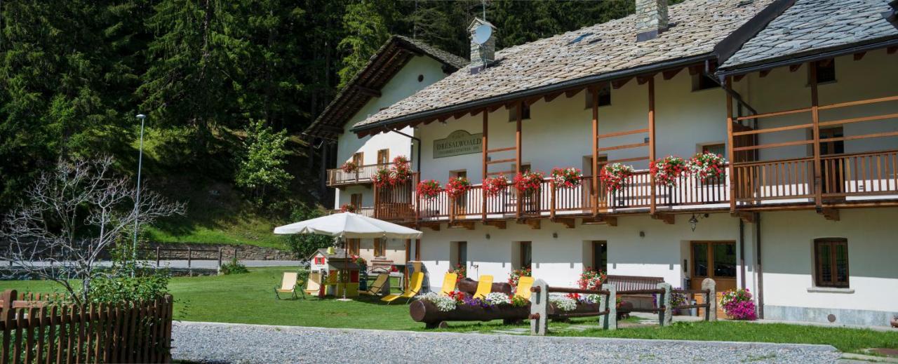 Bed and Breakfast Dresalwoald Gressoney-Saint-Jean Exteriér fotografie